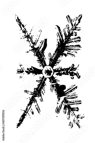 Vector Intricate snowflake with detailed crystalline arms.