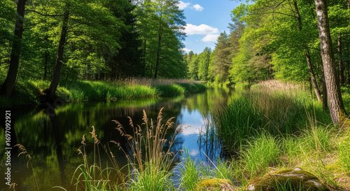 Calm River Flowing Through Vivid Green Forest Landscape on Sunny Day