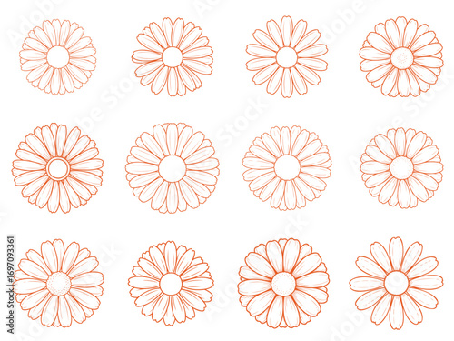 Seamless floral and citrus fruit pattern with fresh orange, lemon, lime, and grapefruit slices, Simple Daisy Flower Logo in Black and White Line Art