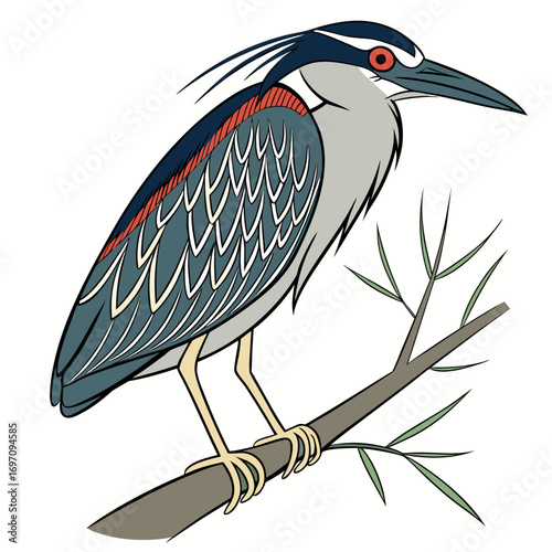Night heron bird perched on a branch