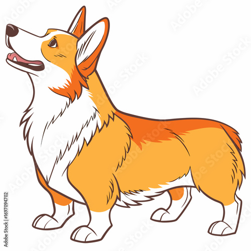 Pembroke welsh corgi dog standing