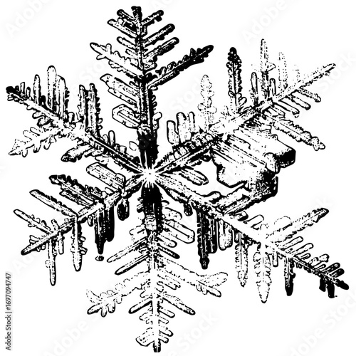 Vector Detailed snowflake showcases intricate crystalline structure.