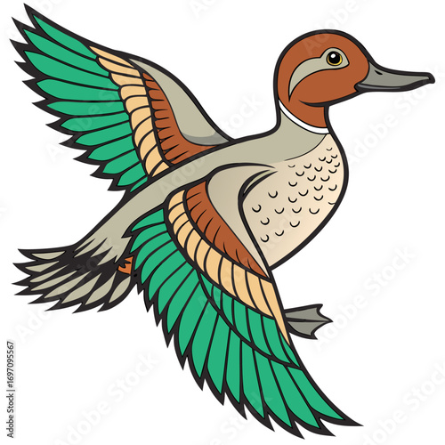 Duck bird flying