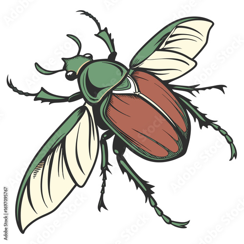 Detailed illustration of a green and brown beetle