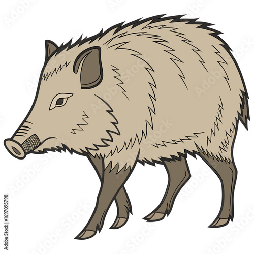 Illustration of a wild boar walking