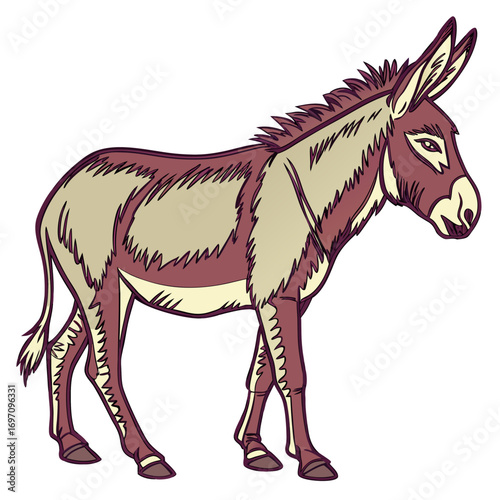 Illustration of a donkey standing