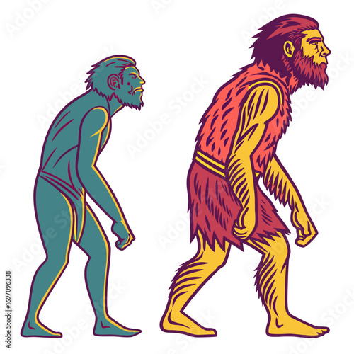 Illustration showing human evolution from ape to man