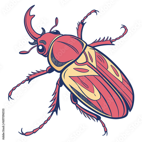 Rhinoceros beetle illustration