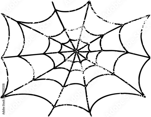 Vector Intricate spiderweb with detailed radial lines.