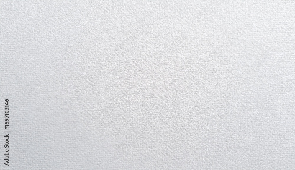 Fototapeta premium White Texture Surface