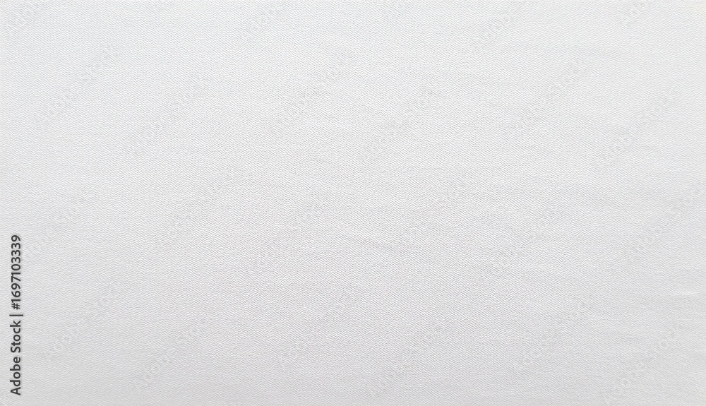 Fototapeta premium White Texture Surface