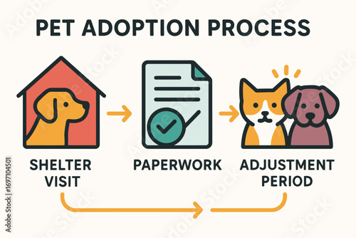 Visualizing the pet adoption process from shelter to home