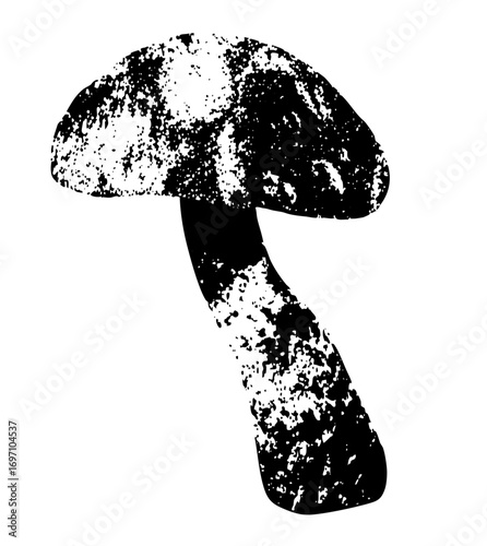 Vector Detailed of a mushroom with a textured cap and stem.