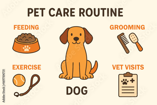 Dog pet care routine daily activities for healthy canine companionship