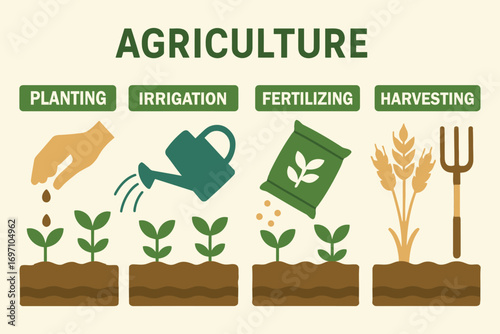 Agriculture life cycle showing planting irrigation fertilizing and harvesting stages