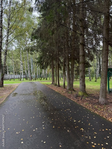 alley in the park