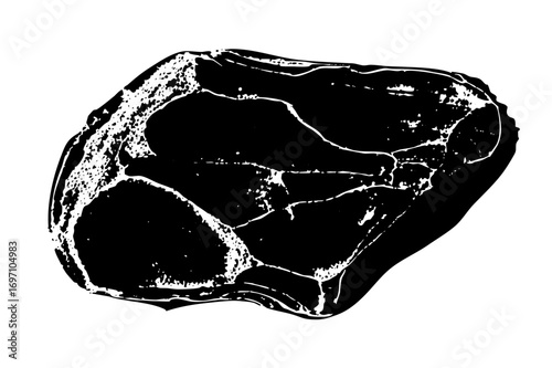 Vector Detailed black and white of a raw meat cut.