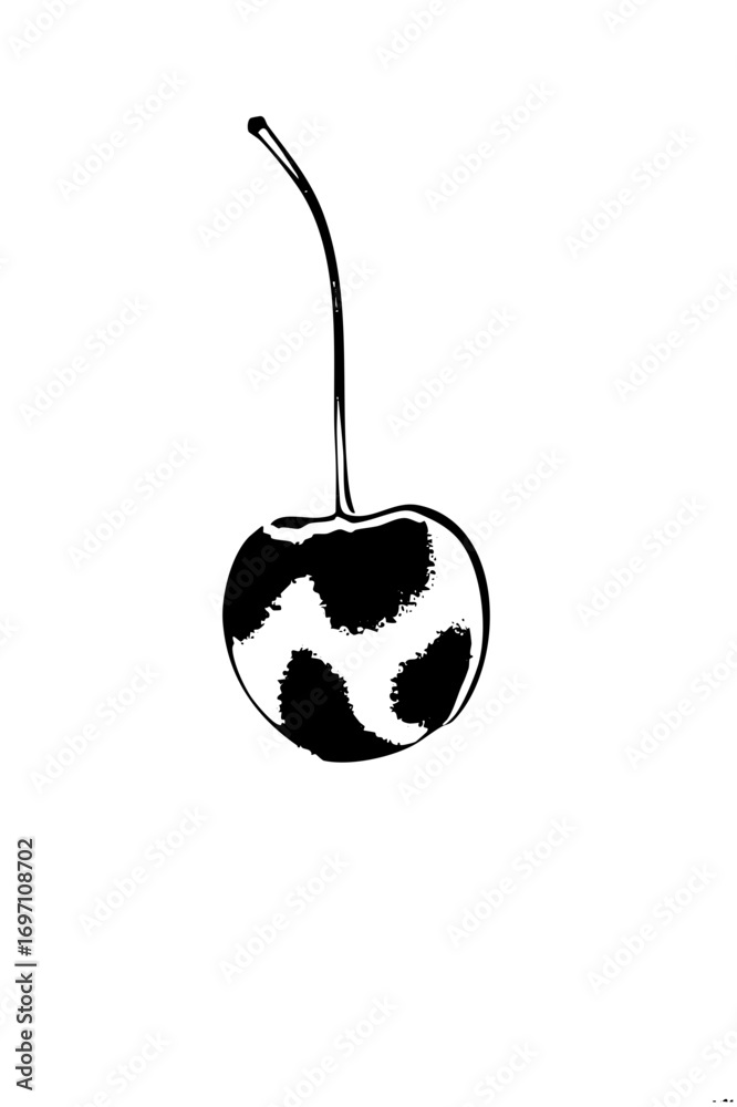 Obraz premium Vector Black and white cherry with a slender stem.