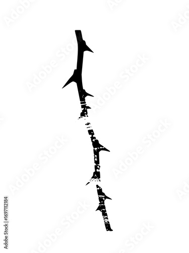 Vector Black Branch with Spikes