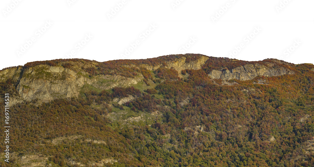 Fototapeta premium Forest and mountains isolated photo