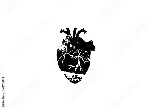 Vector Detailed black heart with branching veins.