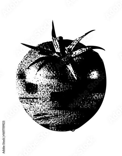 Vector tomato with contrasting textures