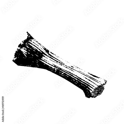 Vector Detailed of a fractured bone with textured surface.