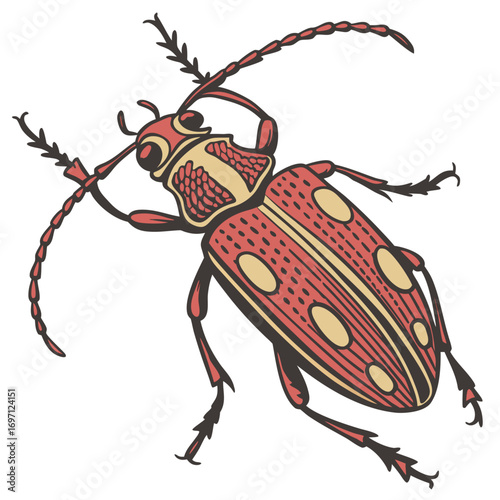 woodboring-beetle---colour-color-design-and-white-