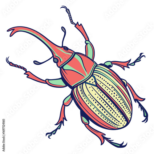 weevil---colour-color-design-and-white-background- (1)