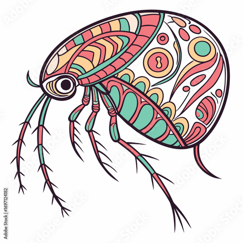 water-flea---colour-color-design-and-white-backgro