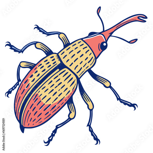 weevil-beetle---colour-color-design-and-white-back (1)