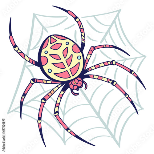 spider---colour-color-design-and-white-background-
