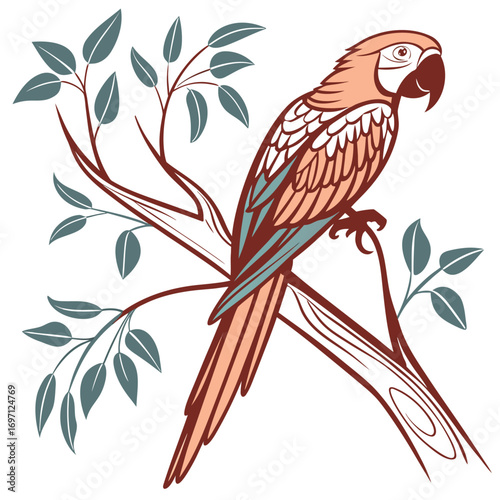parrot---colour-design-on-white-background-