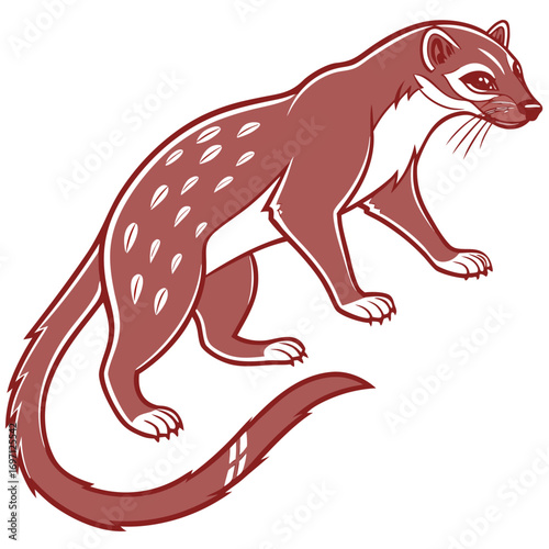 Cartoon stoat with long body and tail