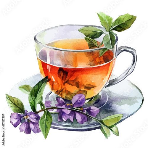 Herbal Tea, watercolor illustration vector, isolated on a white background.