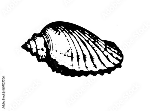 Vector Detailed of a marine with textured ridges.