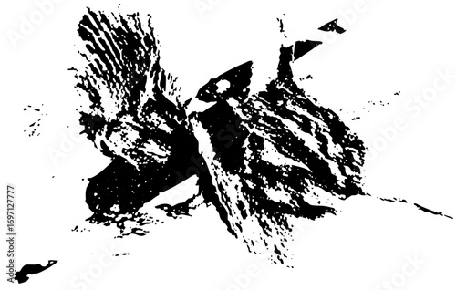 Vector Abstract brushstroke splash with dynamic lines and shapes.