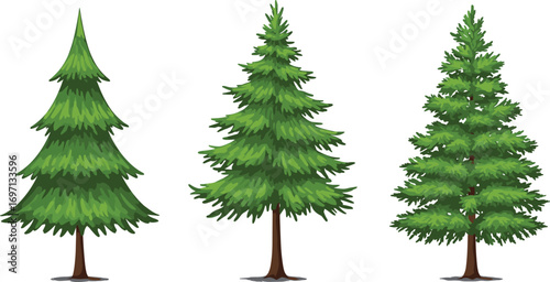 Illustration of three green pine trees with lush branches, natural evergreen forest, seasonal landscape, nature, outdoor environment concept