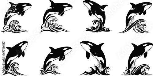 Orca illustration set, killer whale clipart, marine animal art, ocean wildlife graphic, jumping orca design, aquatic mammal silhouette, sea life vector