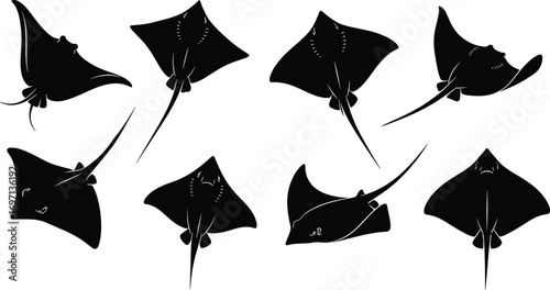 Silhouettes of stingrays, manta rays, marine wildlife, ocean animals, underwater creatures, aquatic life, sea animals, black shapes, vector illustration, isolated design