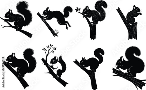 Squirrel silhouette collection, wildlife animal poses, tree branch scenes, acorn gathering, leaping, climbing, nibbling, nature illustration, forest fauna, vector art design