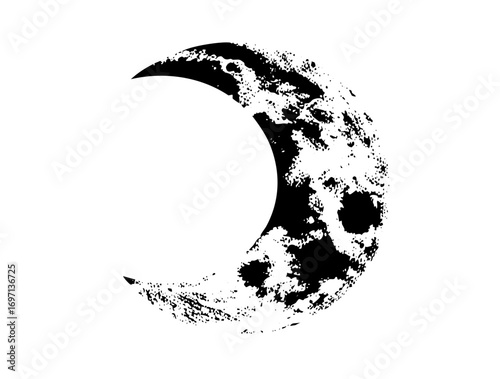 Vector Detailed moon with textured surface.