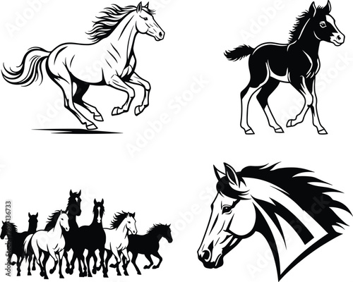 Black and white horse illustrations, galloping stallion, foal walking, running herd, stylized horse head, equine art, animal motion, graphic design