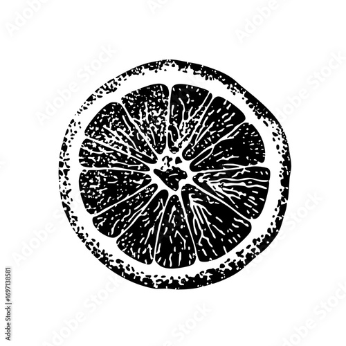Vector Detailed citrus slice with textured segments.