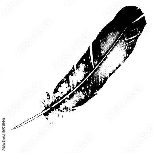 Vector Detailed black feather with textured quill.