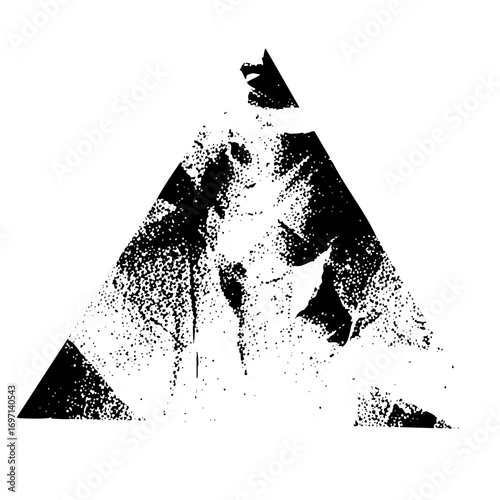 Vector Lion face within a geometric triangle .