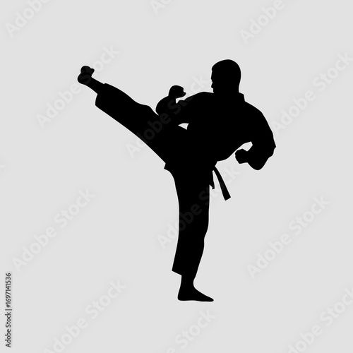 Black silhouette of a martial arts fighter executing a powerful high kick, Brazilian jiu jitsu training concept vector art