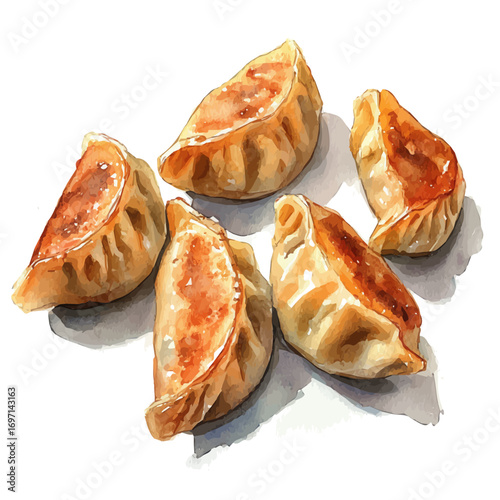Dumplings, watercolor drawing vector, isolated on a white background.