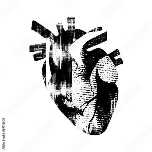 Vector Detailed anatomical heart with vessels.