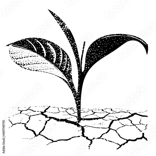Vector Resilient sprout emerges from cracked earth symbolizing growth and survival.